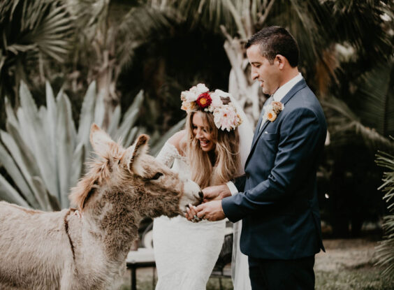 Acre donkey couple photo session Boho wedding Cabo
